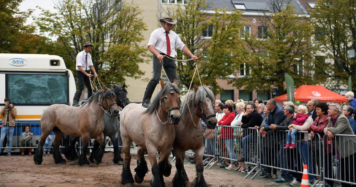 Jaarmarkt Weer Schot In De Roos Leuven In De Buurt Hln