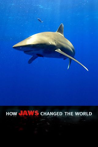 How Jaws Changed the World