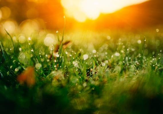 Heet zomerweer vanaf maandag voorlopig voorbij: het wordt wisselvalliger
