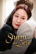 boxcover van Sturm der Liebe