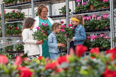 IJsheiligen voorbij, dus plantjes erin