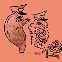 Je wilt je darmen gezond houden? ‘Meer lucht in je darmen wijst op een vrolijk werkende darmflora’