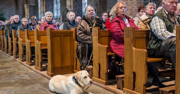 Honden gezegend bij kerkmis in Beckum | Hengelo - Tubantia
