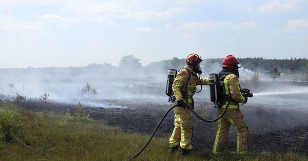 Bosbrand in Leenderbos in Leende geblust: vijfhonderd vierkante meter bos beschadigd