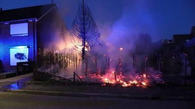 Coniferenhaag van 30 meter gaat in vlammen op in Ulft