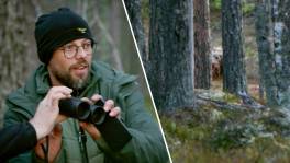 Onvergetelijk! Staf & Beau zien een gigantische beer