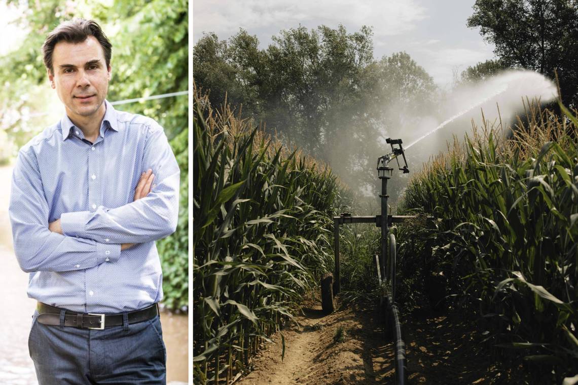 ‘Vooral de timing baart mij zorgen’: hydroloog Patrick Willems over de ongeziene droogte in Vlaanderen