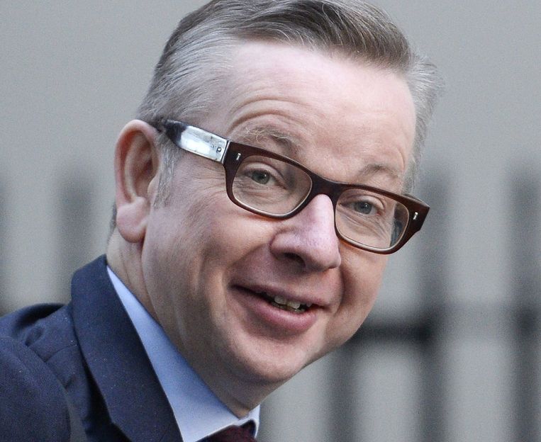 Onderwijsminister Michael Gove Beeld afp