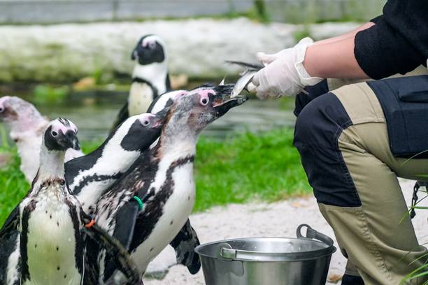 Het Echte Leven in de ZOO