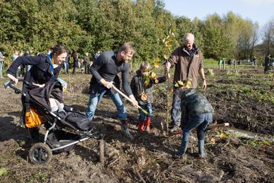 Ede onderzoekt mogelijkheid voor GeboorteBos: een boom planten voor pasgeborene