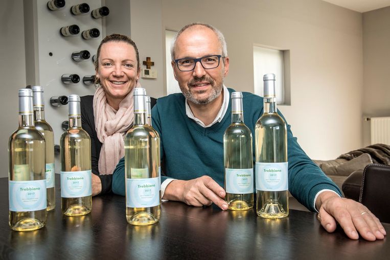 Syntra west inloggen