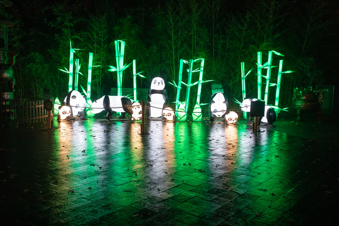 Magisch Lichtfestival In Ouwehands Dierenpark Utrecht Ad Nl