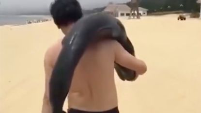 Chinese politie zoekt toerist die dolfijn meenam