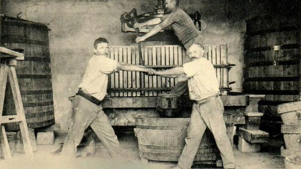L'épopée des vignerons