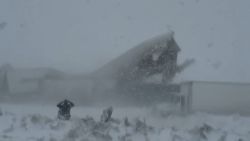 Omstaanders filmen horrorcrash in sneeuwstorm: tientallen voertuigen rijden één na één op elkaar in