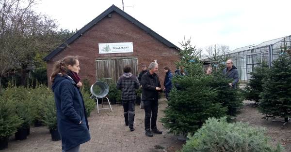 Kerstboom nu al in trek in de regio: ‘Het gaat heel hard’