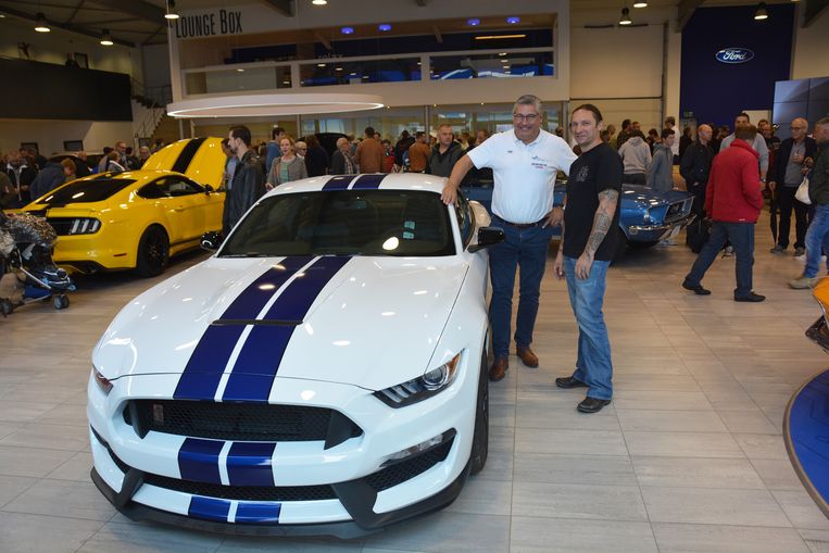 Mustang Rijdt Nooit Ongezien Voorbij Beveren In De