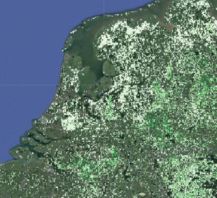 De Nederlandse situatie. De stipjes zijn plekken die in theorie geschikt zijn voor boomgroei; hoe donkerder, hoe meer bomen er nog bij kunnen. Witte vakjes zijn vaak al deels bebost (zie bijvoorbeeld het Groene Hart en de Veluwe). Ietwat verwarrend is de egale mosgroene achtergrondkleur: grote gebieden zijn afgevallen in het onderzoek omdat ze al in gebruik zijn. Uitbreiding zou blijkens de kaart mogelijk zijn rond de Belgisch-Nederlandse grens, in Noord-Limburg en in de Achterhoek. Beeld Crowther Lab