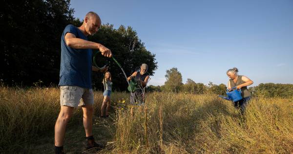 Vrijwilligers redden dorpsmoestuin Vessem van verdroging | Kempen - Eindhovens Dagblad