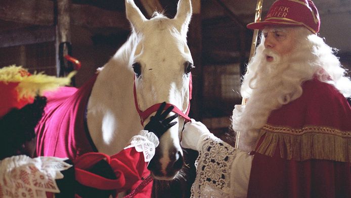 Paard Van Sinterklaas Na 22 Jaar Met Pensioen Binnenland Ad Nl