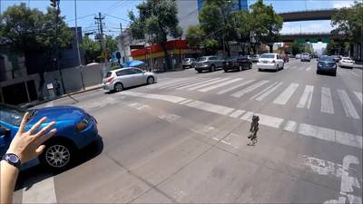 Fietser redt puppy van gruwelijke dood