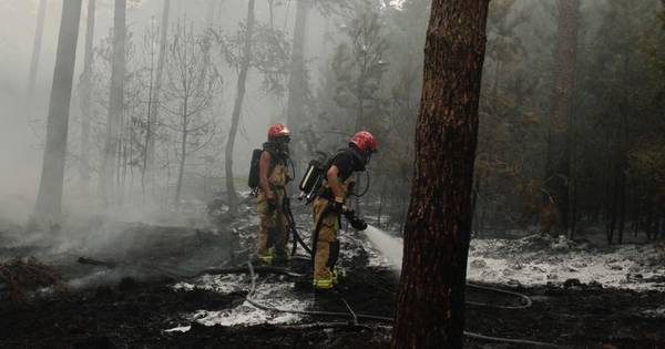 Zeer grote bosbrand op de Nederheide onder controle, brandweer nog druk aan het blussen