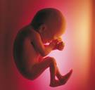 Versoepeling abortus (bijna) een feit: 4 vragen beantwoord over het omstreden wetsvoorstel