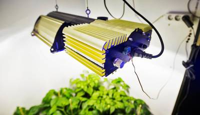 Philips opgenomen in de wietindex