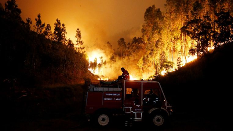 Drie dagen rouw na bosbrand Portugal: 61 doden - Trouw