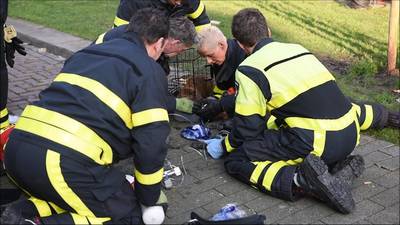 Brandweer redt drie katten uit brandende woning