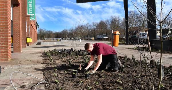 Nieuwe stijl voor schoolplein Metameer Stevensbeek