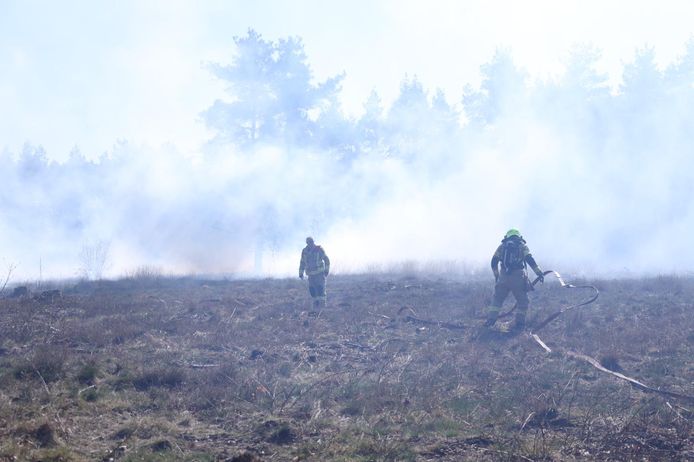 Een flink stuk heide brandde onlangs af bij Rozendaal.
