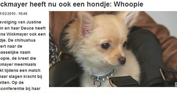 Le Chien De Wickmayer S Appelle Whoopie Tennis 7sur7 Be