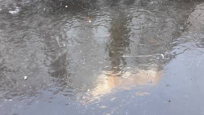 Rosita redde jongens uit een wak: 'geen 112, dacht ik, dan redden ze het niet'