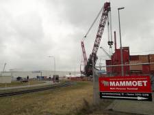 Overslagbedrijf Mammoet schrapt banen in Westdorpe