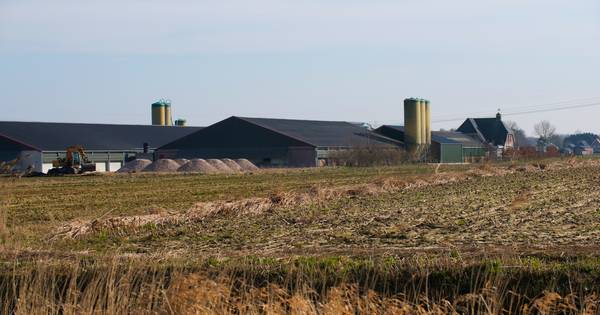 Vraag hoe het zit met 'controles' bij pluimveebedrijf - BD.nl