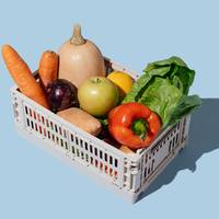 Déze vijf producten uit de supermarkt zijn het vaakst besmet met illegale bestrijdingsmiddelen