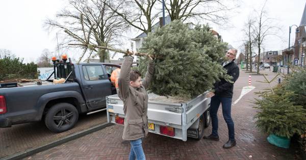 Kerstbomen Aanleveren Voor Een Zakcentje De Vallei Gelderlander Nl