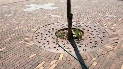 Mooie uitvinding: Veenendaalse ijsmaker geeft boompjes op terras koelwater