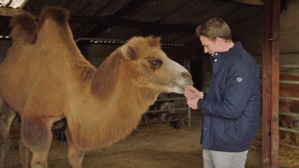Aflevering 7