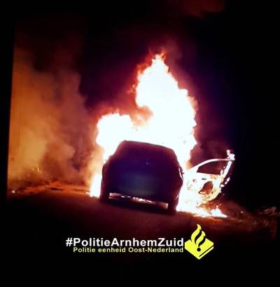 Gestolen auto en bomen in brand bij Rijkerswoerdse Plassen