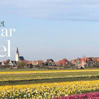 Dit is waarom Texel de ideale voorjaarsbestemming is
