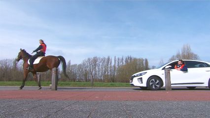 56. Aflevering 56