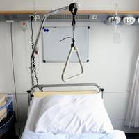 Stof uit paddo’s lijkt gevreesde zenuwpijn na chemokuur te remmen