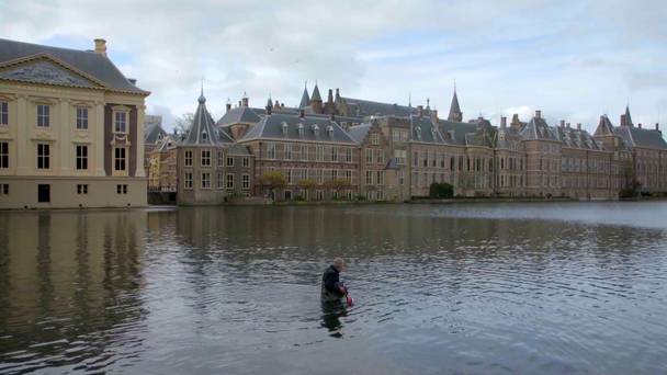 Wildernis onder water