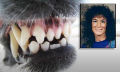 Echtpaar tientallen keren gebeten bij aanval door pitbulls: vrouw overlijdt