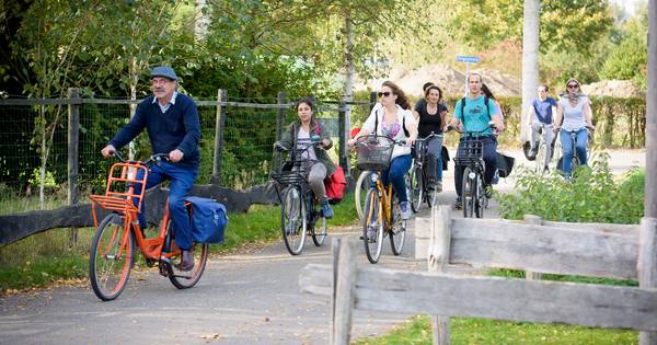 Eindhovense expats leren het Brabantse landschap lezen