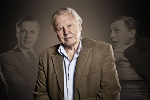 Attenborough: 60 Years in the Wild
