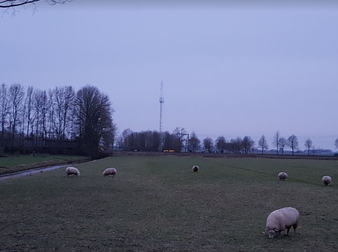 Vragen vrijgezellenfeest bruid T mobile houten