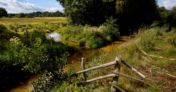 Wandelen langs kunstenaars die in Zunderts oude Turfvaart schilderen